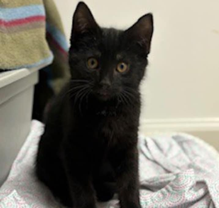Photo of Tiny Tim