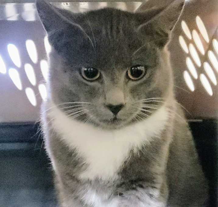 Photo of 5128 Blinkum