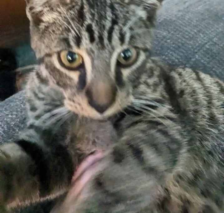 Photo of Sir Issac Mewton
