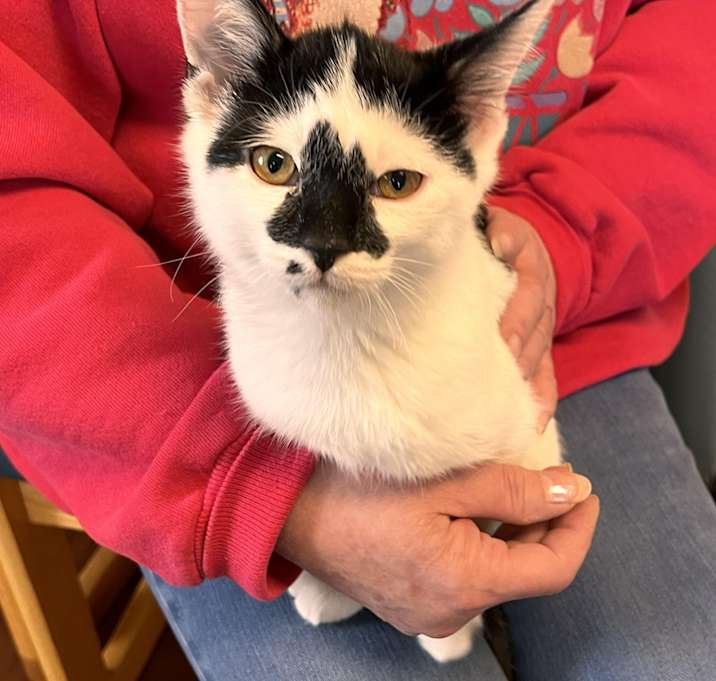 Photo of LULU