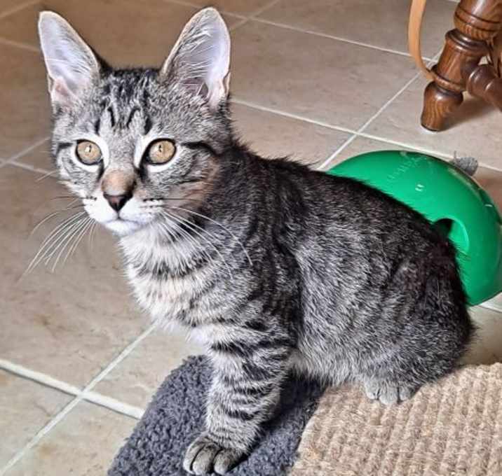 Photo of Stan