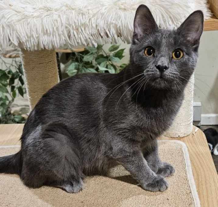 Photo of Junie
