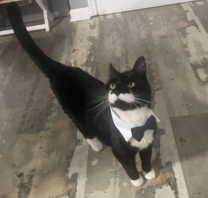 Photo of Moe