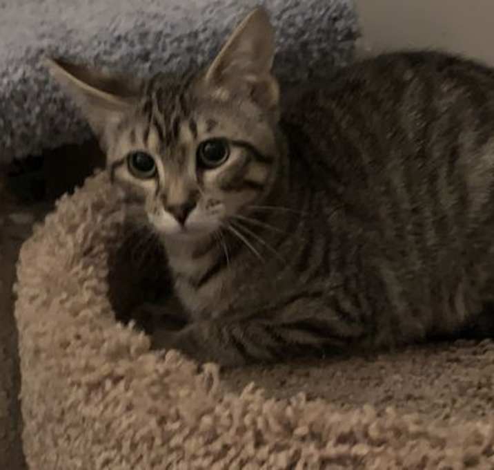 Photo of Vinny