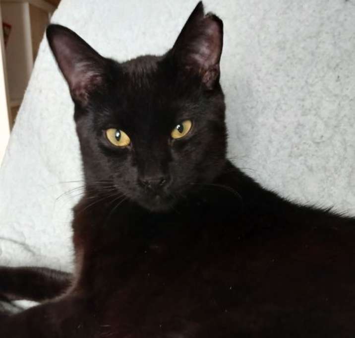 Photo of Koro