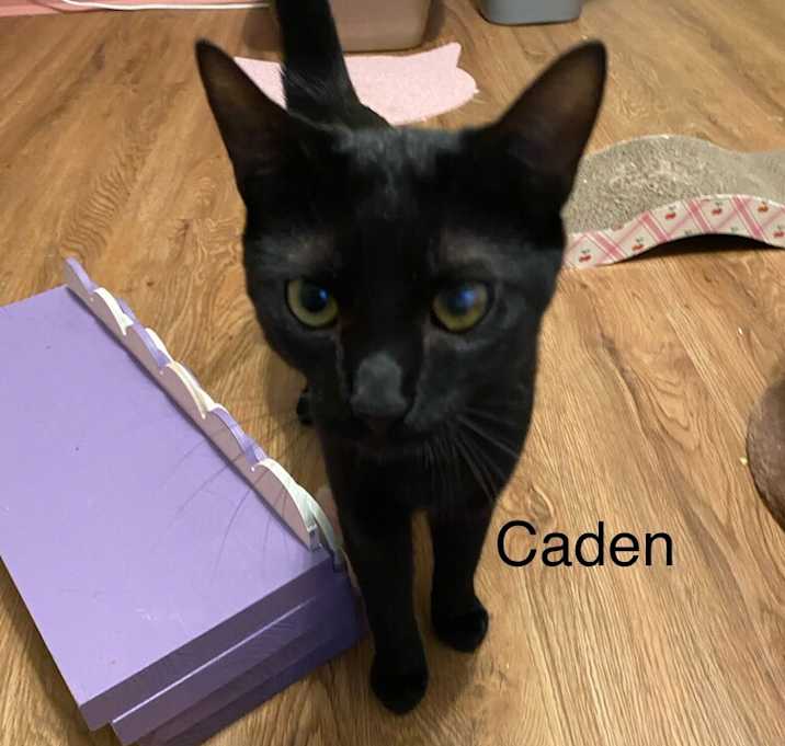 Photo of Caden