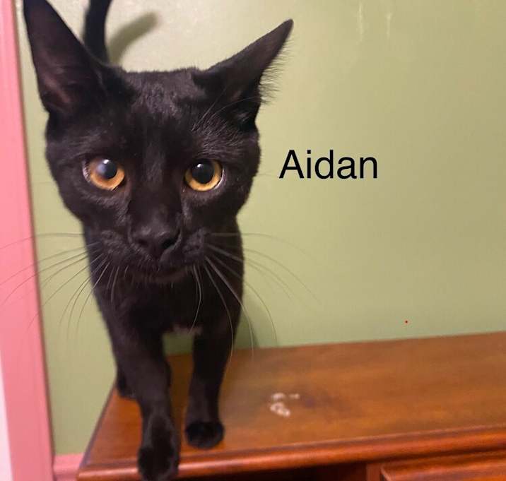 Photo of Aidan