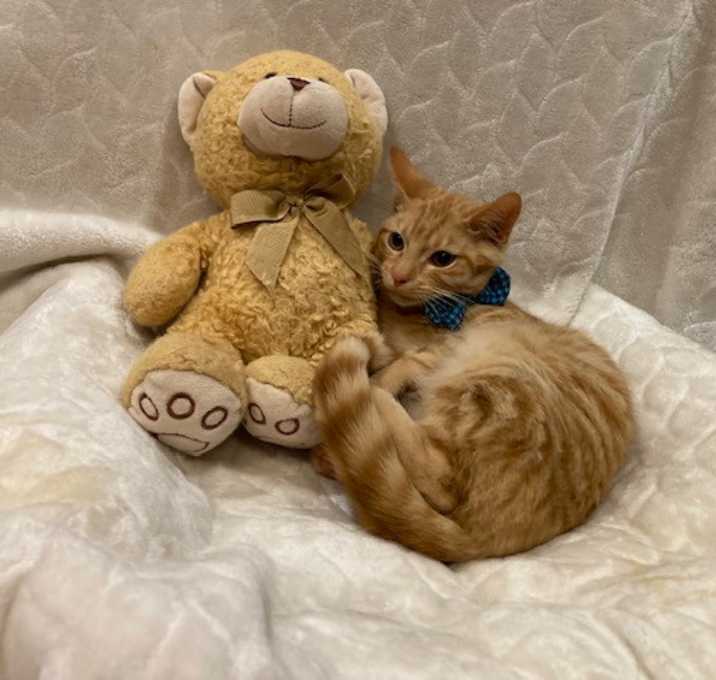 Photo of Jake
