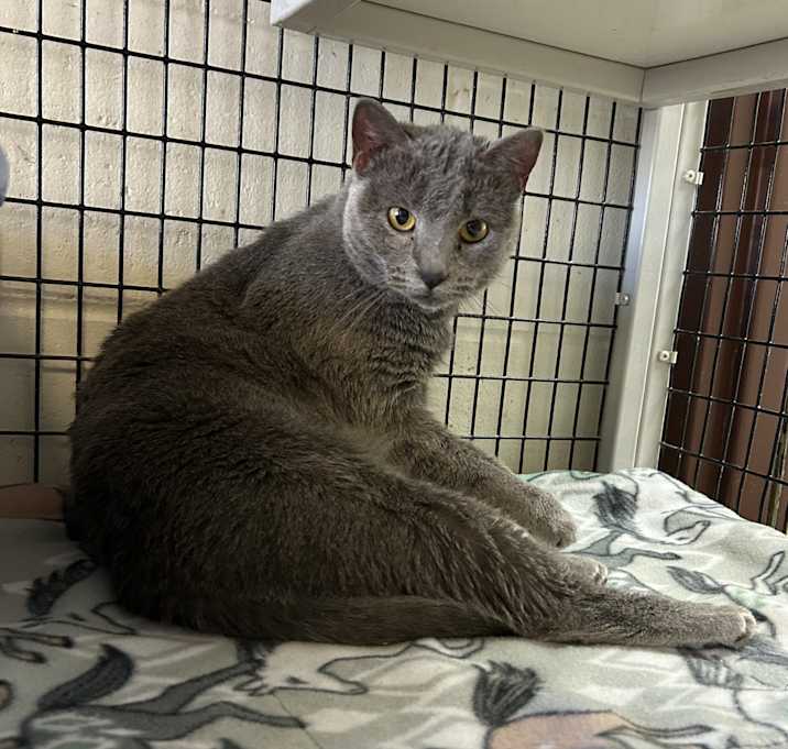 Photo of Libby
