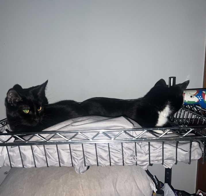 Photo of Charlotte and Ruby