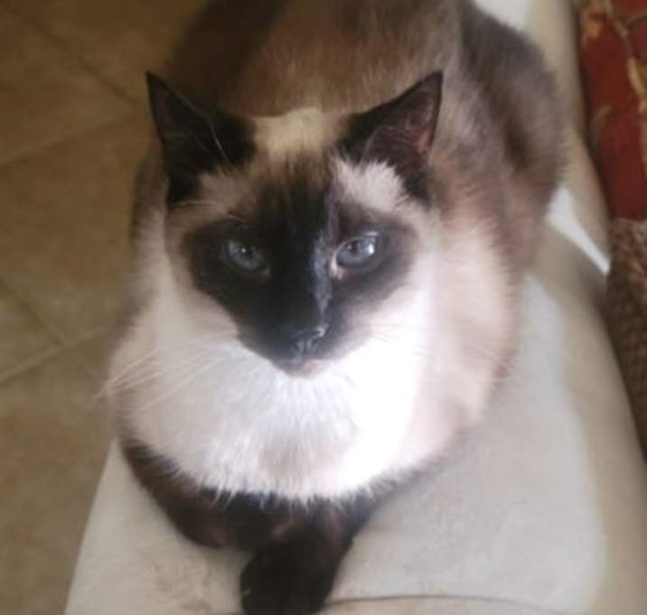 Photo of Bartholomew