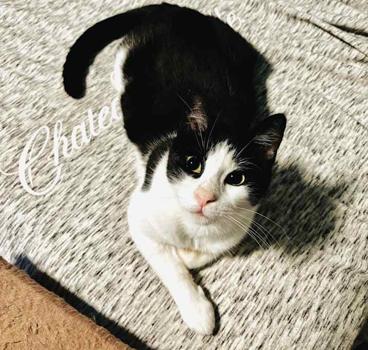 Photo of Polly