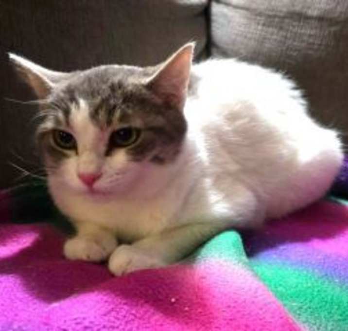 Photo of Quill