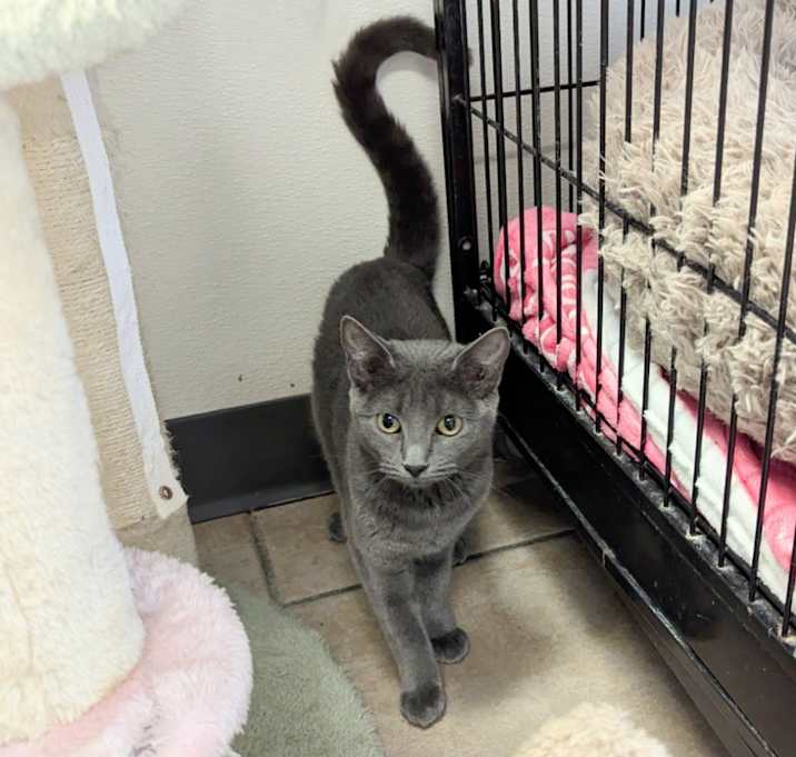Photo of Betty