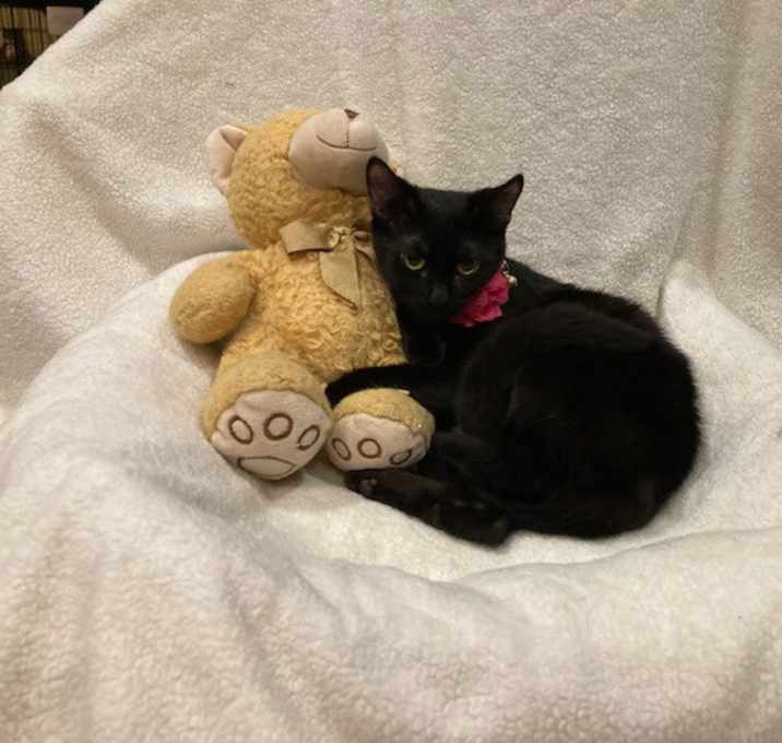 Photo of Babs
