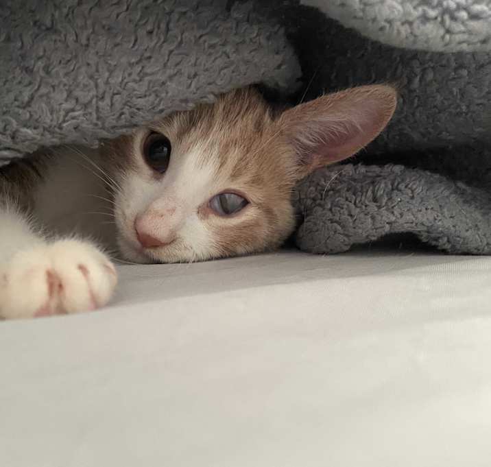Photo of Colin