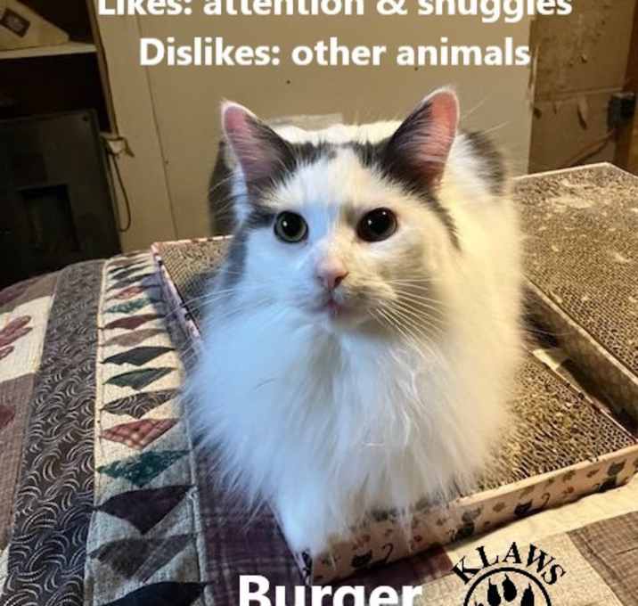 Photo of Burger