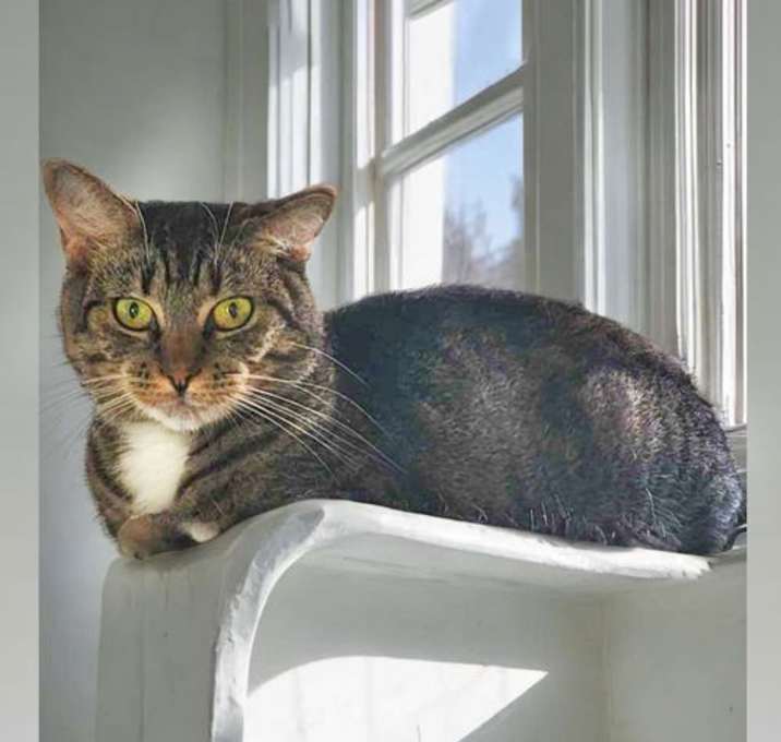 Photo of Winnie