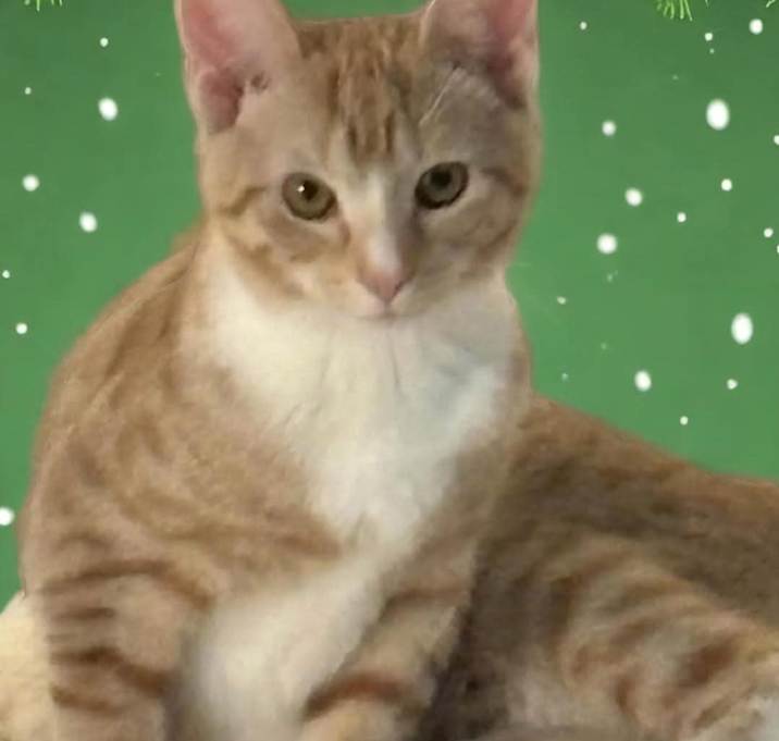 Photo of Anna Belle