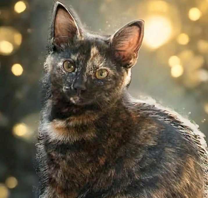 Photo of Abigail