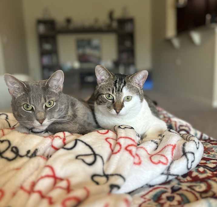 Photo of Ezekiel & Virgil