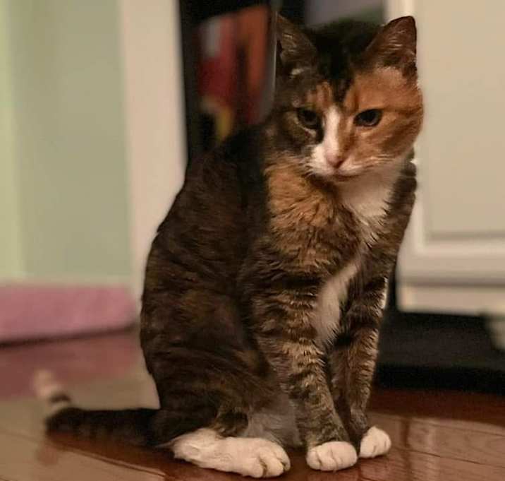 Photo of Charlie