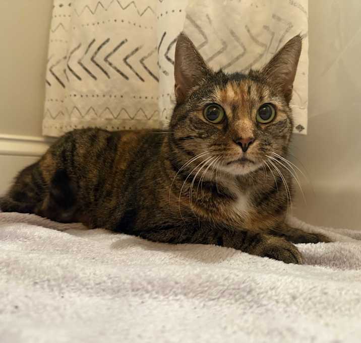 Photo of Emmy