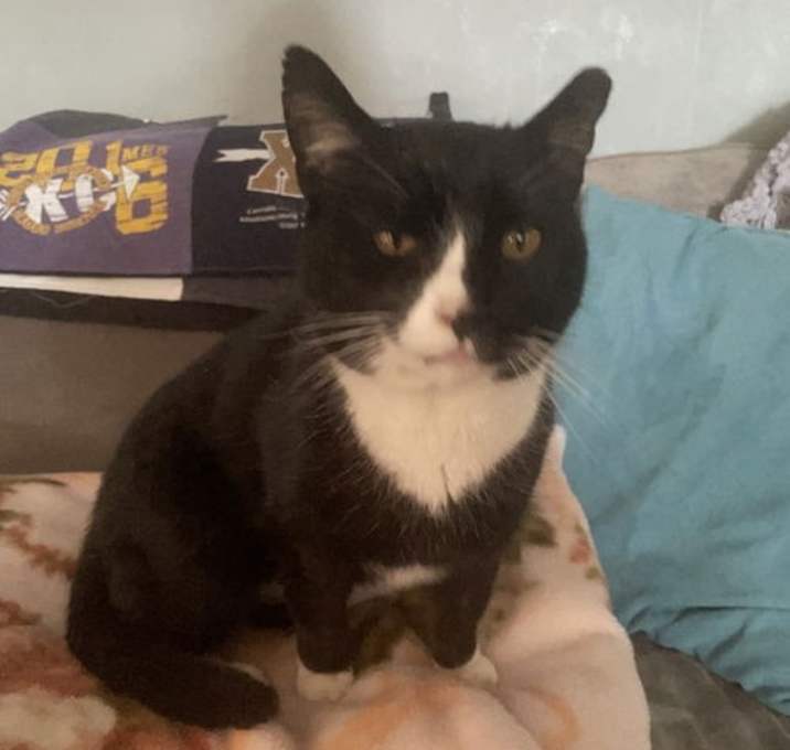 Photo of Spike