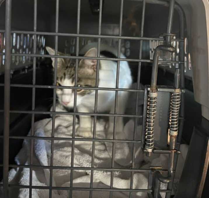 Photo of Dottie
