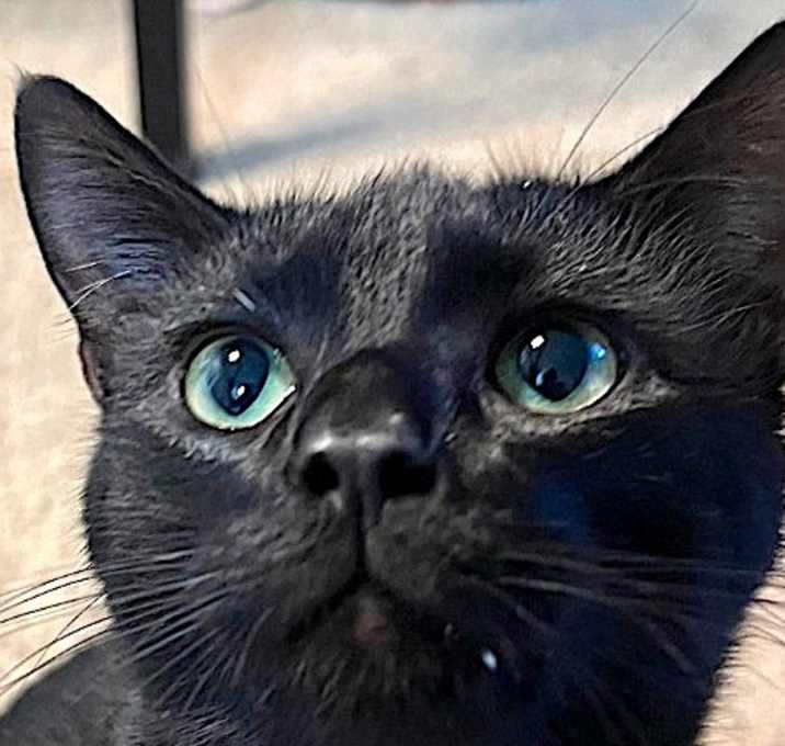 Photo of STORMY