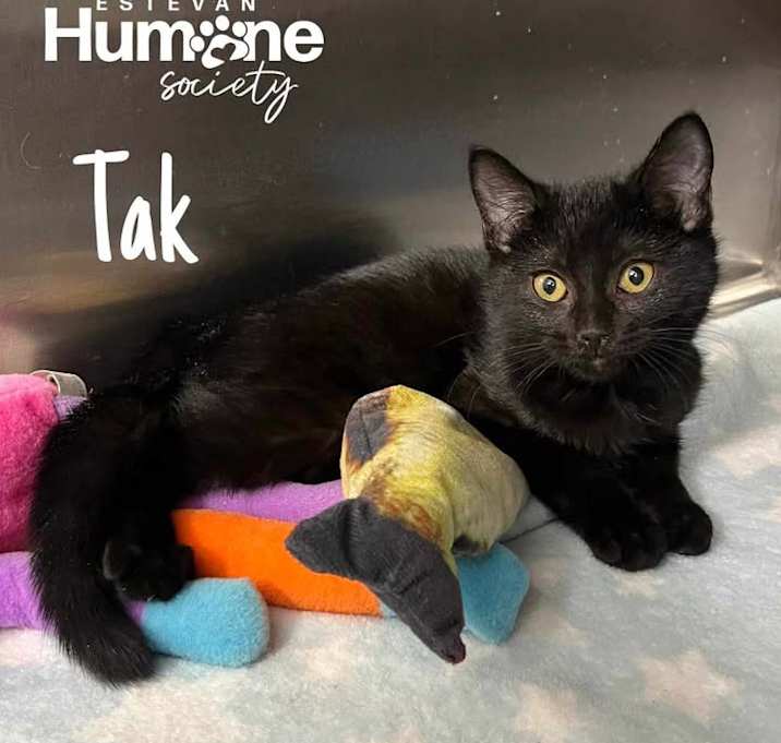 Photo of Tak