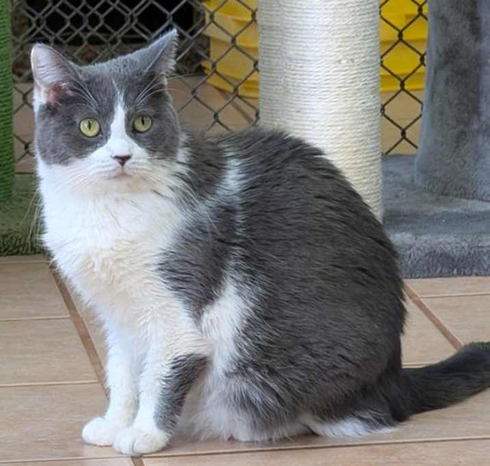 Photo of Margo