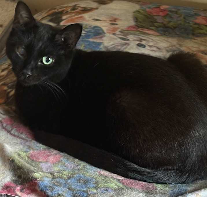 Photo of Elvira