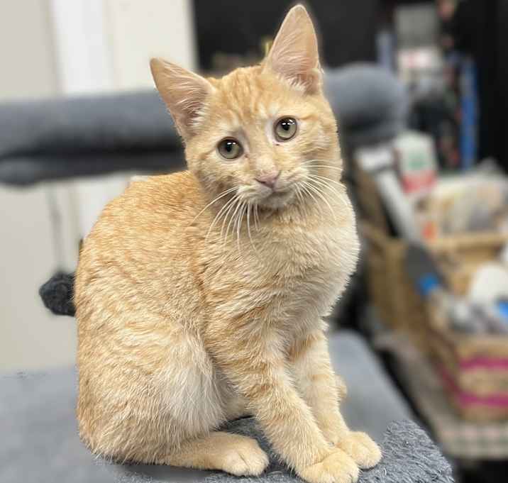 Photo of Billy