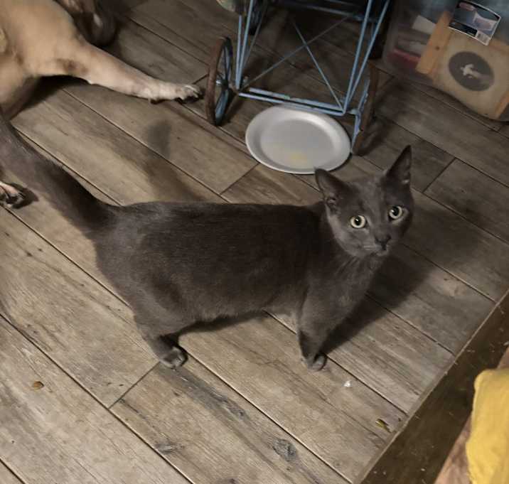 Photo of Turbo