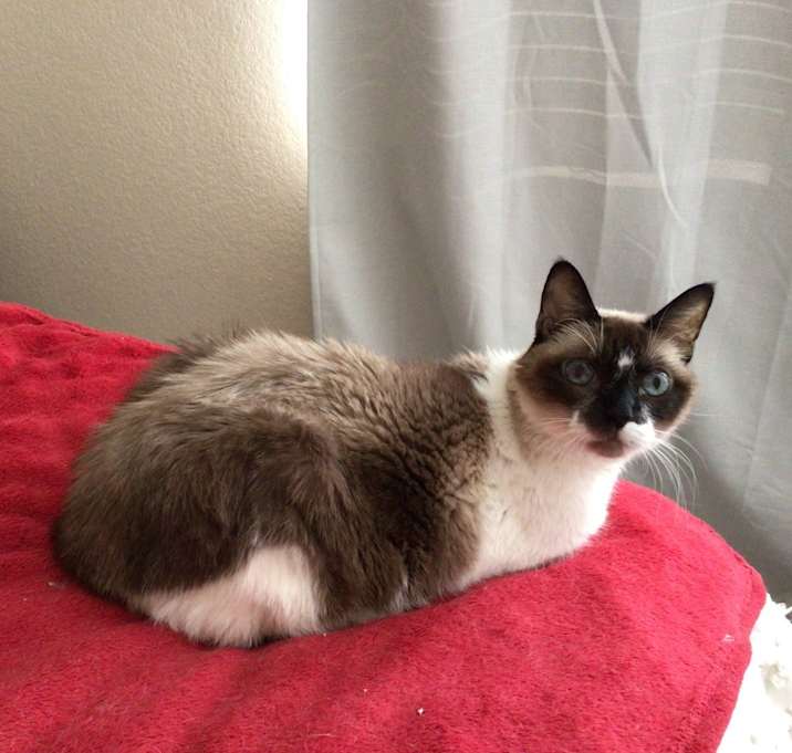 Photo of Princess