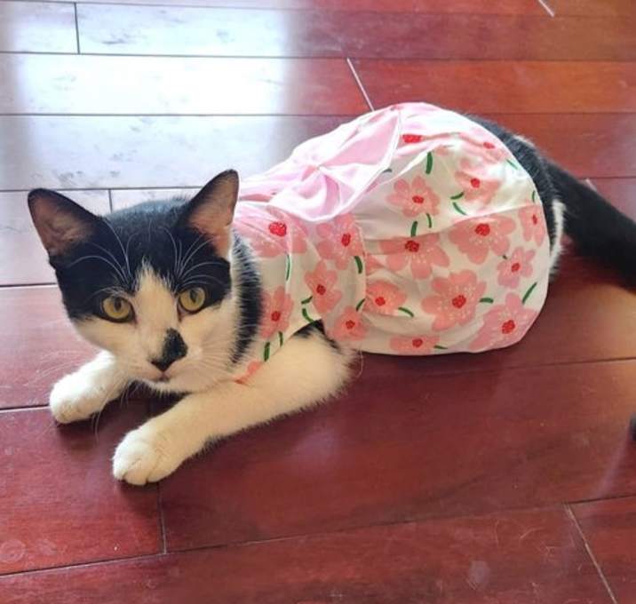 Photo of Mirabel