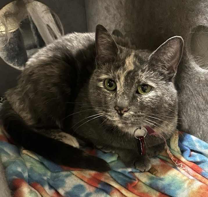 Photo of Cindy