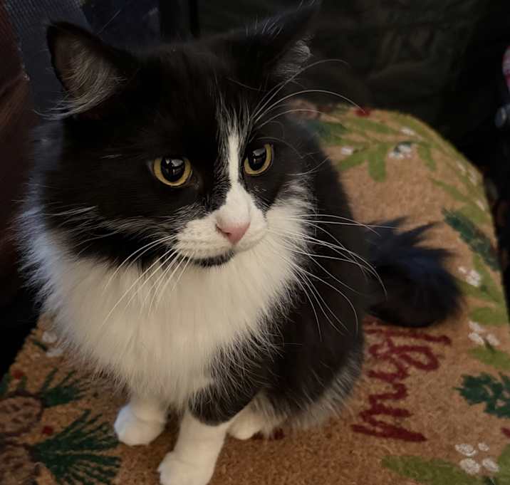 Photo of Lee-Lee