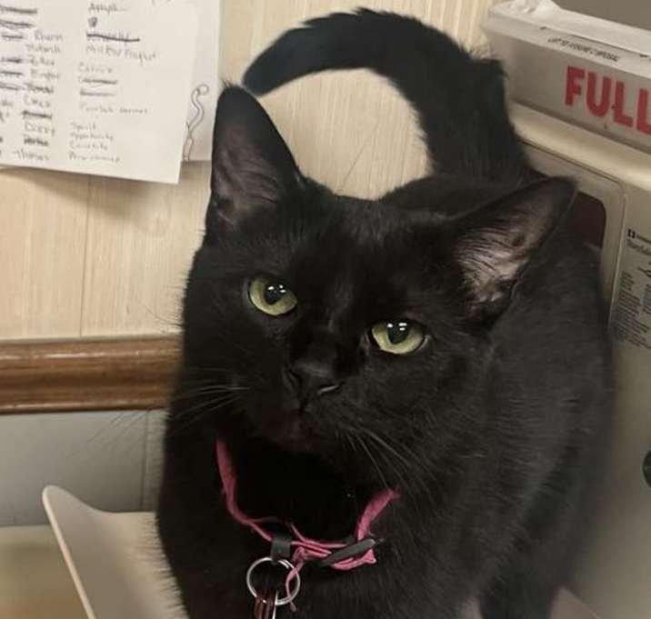 Photo of Myla