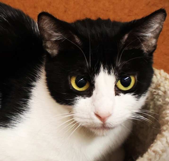 Photo of Tia