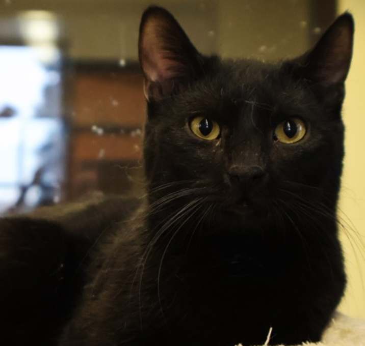 Photo of Timothy