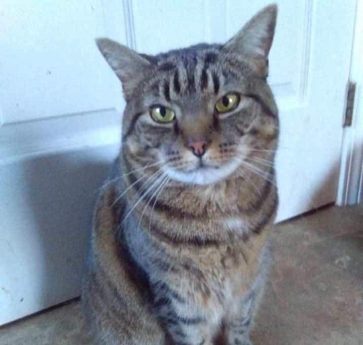 Photo of Sybil - sponsored!