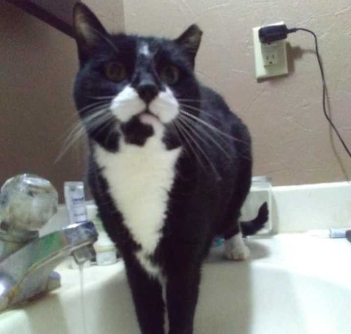 Photo of Ralphie - sponsored!