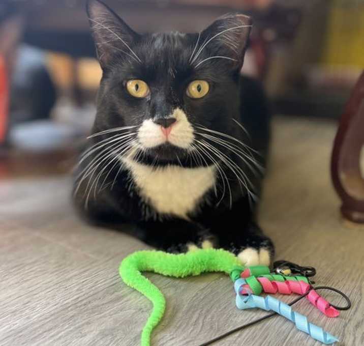 Photo of Jeremiah