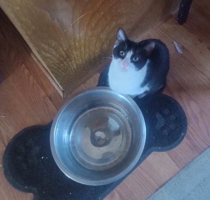 Photo of Black and whitey