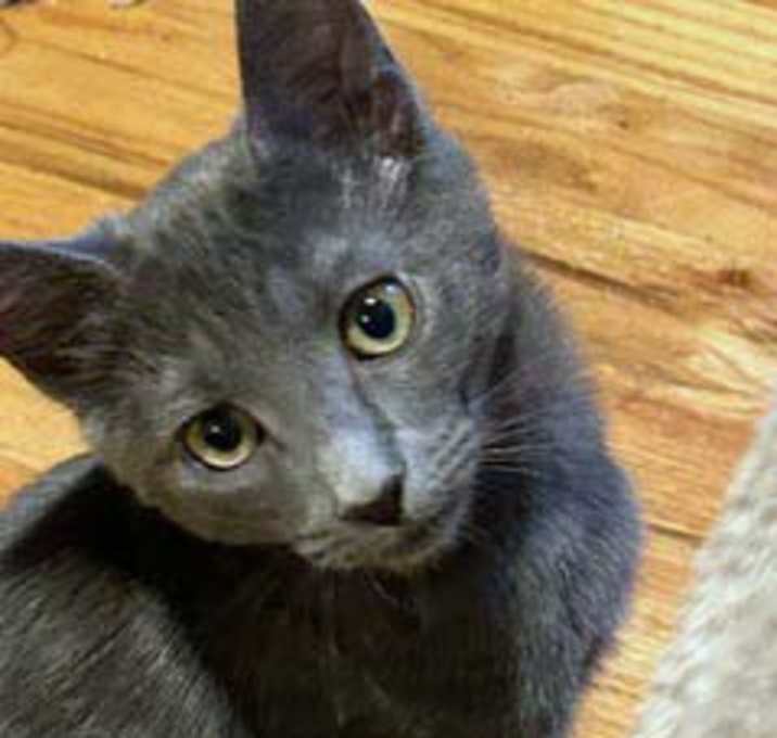 Photo of Kinzie