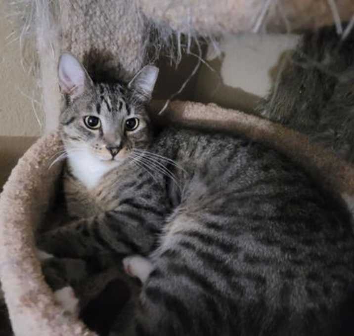 Photo of Sheyla