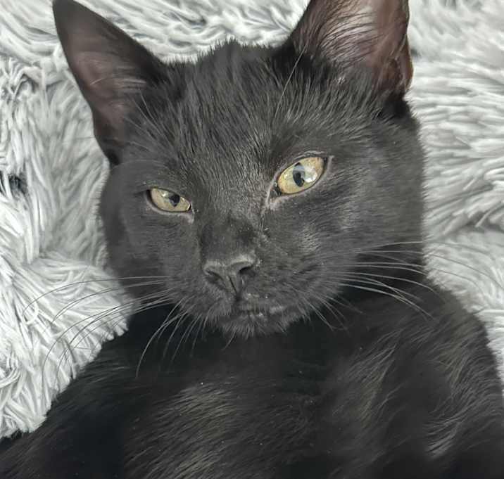 Photo of Coal