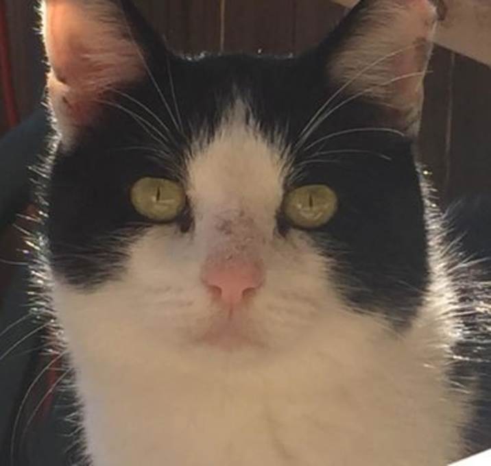 Photo of Tobias